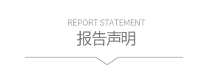 报告声明